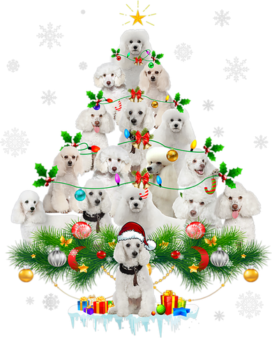 Funny Poodle Christmas Tree Ornament Decor Costume Kids Hoodie