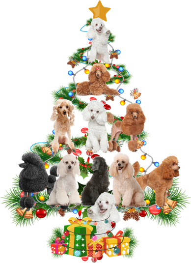 Funny Poodles Dog Merry Christmas Tree Poodles Lover Xmas Gift Women's Long Sleeve Shirt