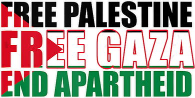 Free Palestine Free Gaza End Apartheid Palestinian Flag Kids Hoodie
