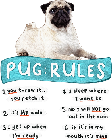 Funny Pug Pug Rules Pug Lover Pug Owner Coaster