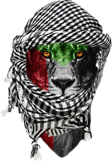 Free palestine Palestinian lion Doddie Hoodie