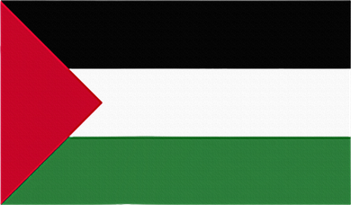 Free Palestine Palestine Flag Women's Tank Top