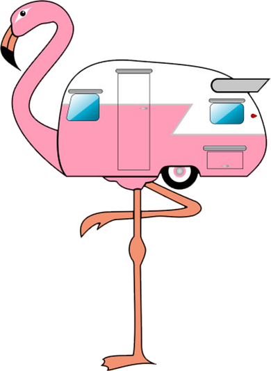Flamingo RV Camper Women's Long Sleeve Shirt