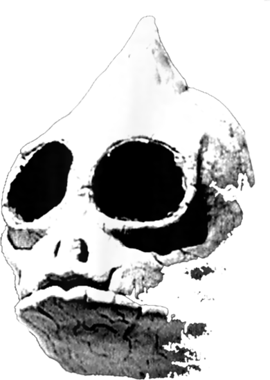Funny Retro Sleestak Reptilian Skull Graphic Button