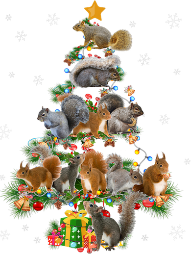 Funny Squirrel Christmas Tree Squirrel Lover Xmas Gifts TShirt Ceramic Ornament