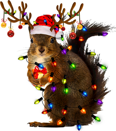 Funny Squirrel Christmas Tree Lights Reindeer Santa Hat Xmas Gift Women's Long Sleeve Shirt