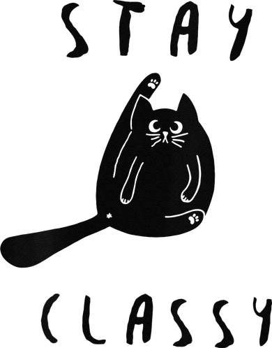 Funny Stay Classy Sarcastic Black Cat Cute Kitten Lover Gift Beanie