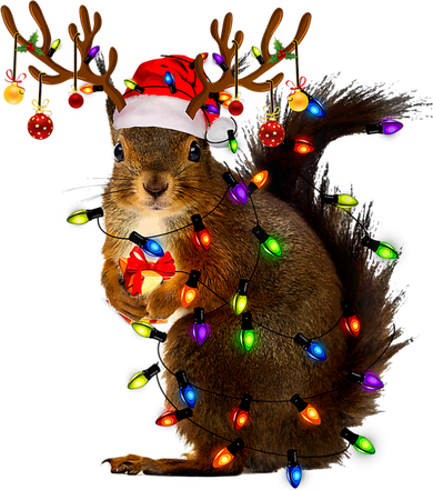 Funny Squirrel Christmas Tree Lights Reindeer Santa Hat Xmas Women's Long Sleeve Shirt