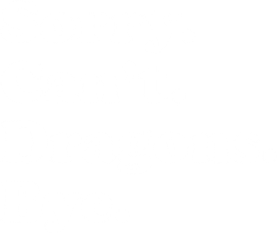 Funny Sorry Cant Dragons Bye Funny Dragon Gift Kids Sweatshirt