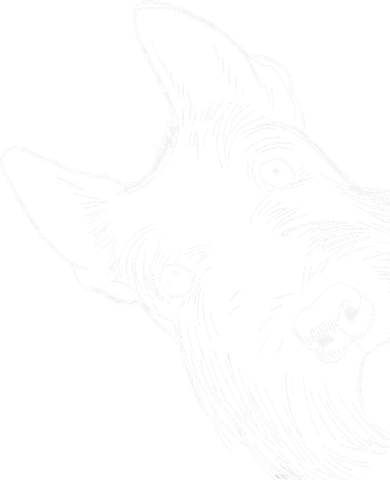 Funny Scottie Dog Scottish Terrier 16 in Basic Backpack