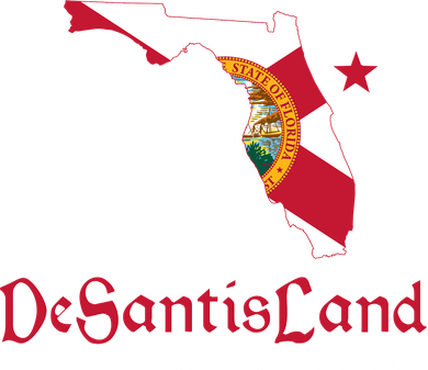 Florida State DeSantisLand A State Of Liberty Tank Top