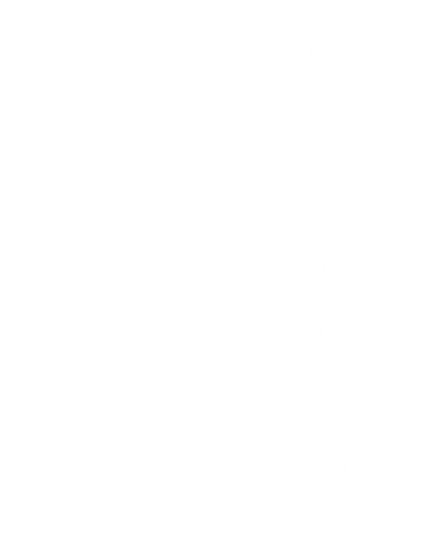 Flossing Skeleton  Women's T-Shirt