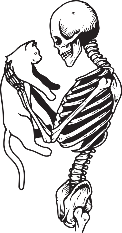 Funny Skeleton Holding A Cat, Cat Lover, Cat Mom, Halloween Kids Hoodie