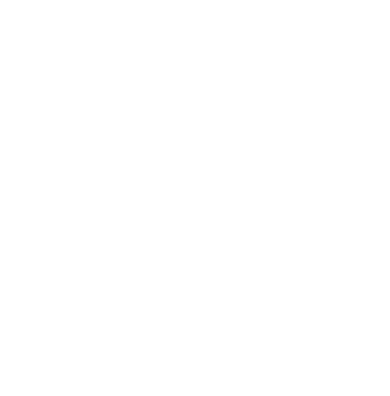 Funny She Is Beauty She Is Grace Vintage Hen Chicken Button