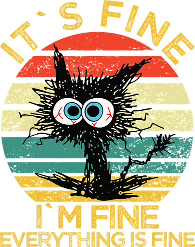 Funny Schwa I`ts Fine Im Fine Everything Is Fine Cat Kids Hoodie