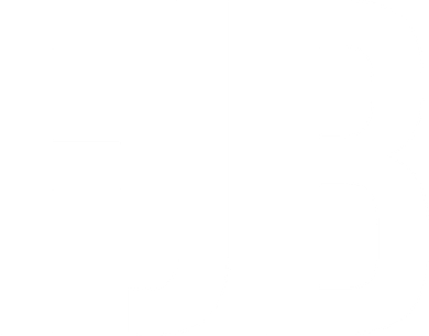 FJB Simple Logo (F!ck Joe Biden) Women's Long Sleeve Shirt