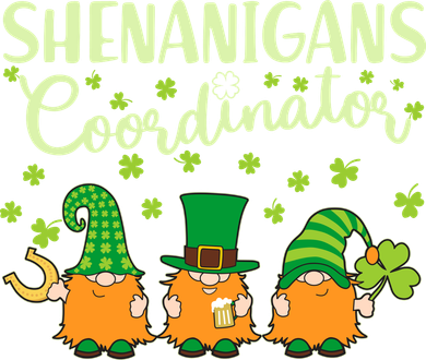 Funny St Patricks Day Shenanigans Coordinator Gnomes Toddler Hoodie