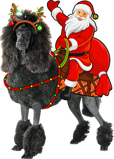 Funny Santa Riding Poodle Christmas, Poodle Family Matching Women's V-Neck T-Shirt