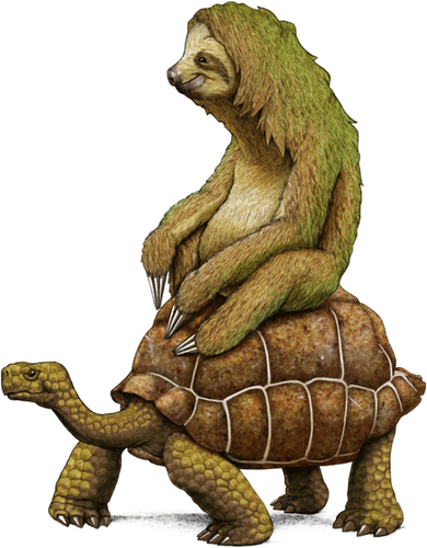 Funny Sloth Riding Turtle Speed Is Relative Santa Hat