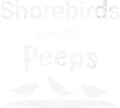 Funny Shorebird Sandpiper Peeps Birdwatching Birder Women's Tank Top