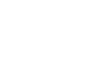Famous Stars & Straps Family Coaster