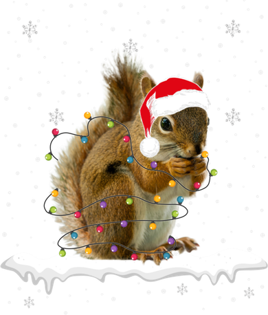 Funny Santa Squirrel Christmas Lights Animals Lover Gift Ceramic Ornament