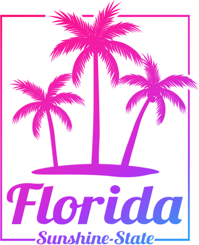 Florida Sunshine State Retro Look Gift Women's Hoodie