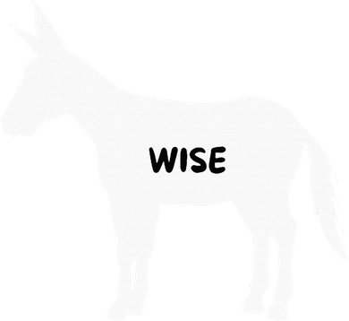 Funny Sarcastic Wise Donkey Lovers Beanie