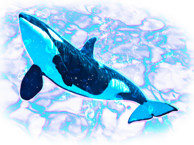 Sea Life Whale Coffee Mug