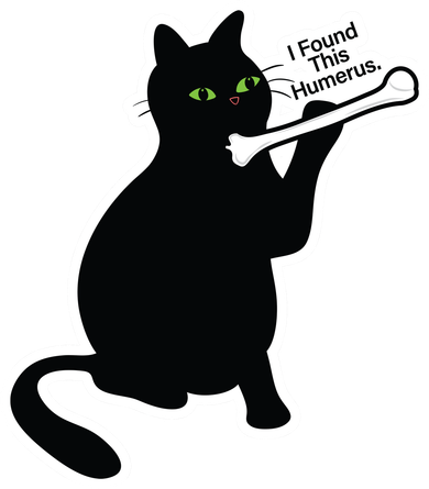 Black Cat I Found This Humerus Funny Kids Hoodie