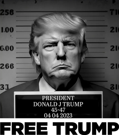 Free Trump Mug Shot Trump Not Guilty MugShot Kids Sweatshirt