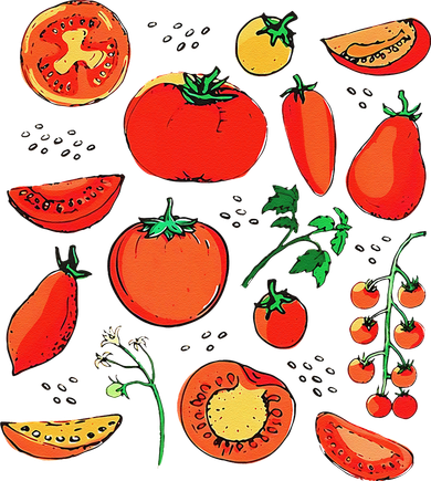 Funny Tomato Pun Hand Draw Tomatoes Watercolor Summer Foodie Santa Hat