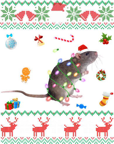 Funny Ugly Xmas Sweater Animals Lights Christmas Rat Funny Gift Women's T-Shirt