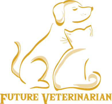 Future Veterinarian Gift Fun Vet Student Gift Hat