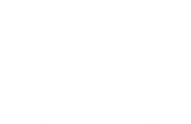 Funny Womens Mom Life Gangsta Minivan Gift Funny Gift For Busy Moms Women's T-Shirt