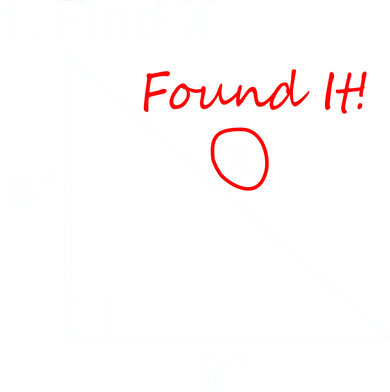 Find X Found It Funny Math School Doggie Tank