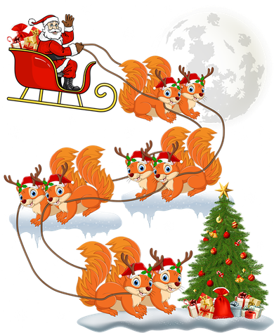 Funny Xmas Lighting Tree Santa Riding Squirrel Christmas Gift Women's Long Sleeve Shirt
