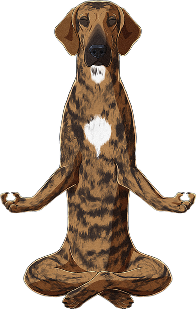 Funny Yoga Dog Plott Hound Kids Long Sleeve Shirt
