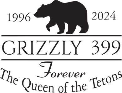 Grizzly 399 In Memory Of Bear T-Shirt