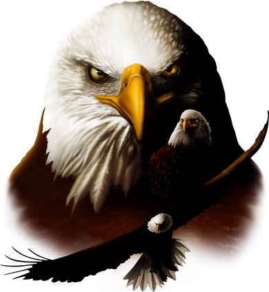 Wildlife Chopper Eagle Women's Tank Top