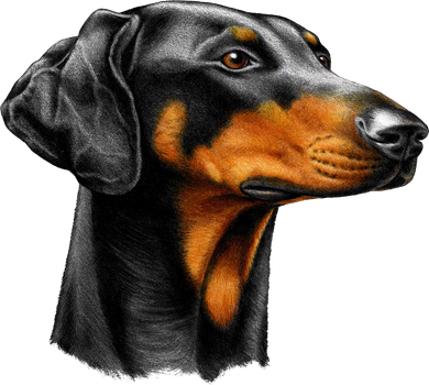 Doberman Dog Kids Hoodie