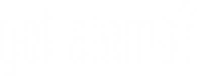 Got Ammo? Hoodie