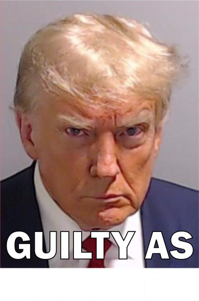Guilty As Charge Trump Mugshot Hoodie