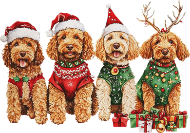 Goldendoodle Christmas Golden Doodle Pajamas For Women Coaster