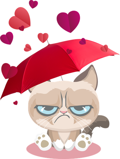 Grump Cat Valentines Day Women's T-Shirt
