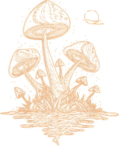 Goblincore Cottagecore Mushrooms Fungi Aesthetic Kids Sweatshirt