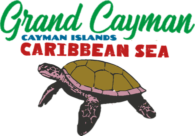 Grand Cayman Sea Turtles Toddler Hoodie