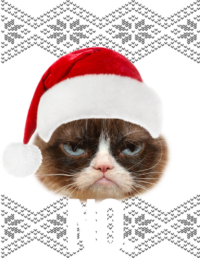Funny Cat NO Meme Ugly Christmas Sweater Ceramic Ornament