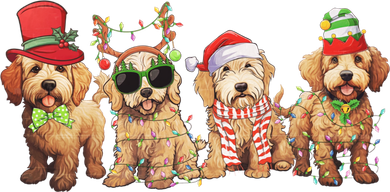 Golden Doodle Christmas Dogs Xmas Lights Christmas Xmas Tree Gift Long Sleeve Shirt