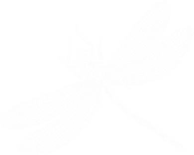Garden Dragonfly Print Gift Women's Tank Top